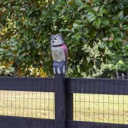 4G Owl Figurine Hidden Camera with 4K Live Streaming & Wi-Fi - Image 13