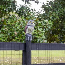 4G Owl Figurine Hidden Camera with 4K Live Streaming & Wi-Fi - Image 18