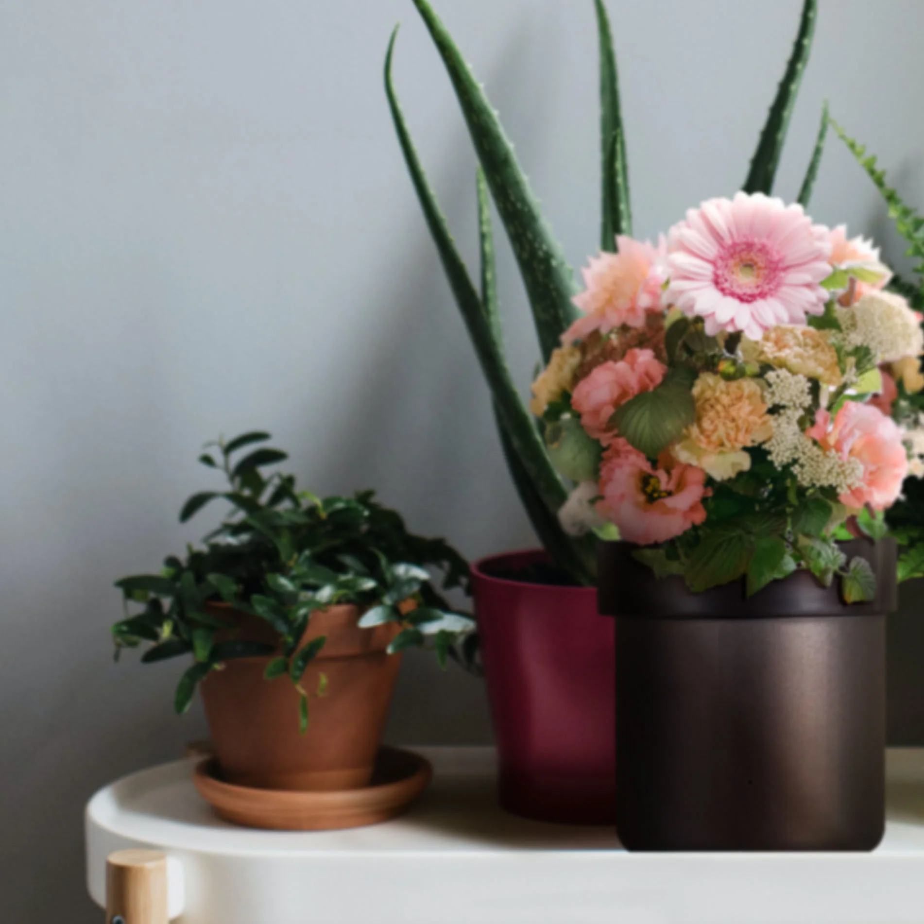Flower Pot Hidden Camera with 4K Live Streaming & Wi-Fi - Image 13